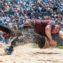 oberländisches schwingfest boltigen, 10. Mai 2015