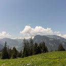 saison eröffnung schwingerweg springenboden 31. mai 2014