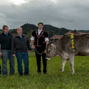 emmentalisches schwingfest schüpbach 11. mai 2014