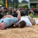 emmentalisches schwingfest schüpbach 11. mai 2014