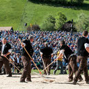 oberländisches schwingfest boltigen, 10. Mai 2015