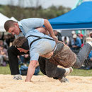 freiburger kantonal schwingfest matran, 26. april 2015