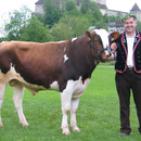 Emmentalisches Schwingfest Burgdorf 16.05.2005