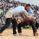 oberaargauisches schwingfest seeberg-grasswil, 23. mai 2015