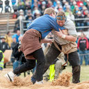 oberaargauisches schwingfest seeberg-grasswil, 23. mai 2015