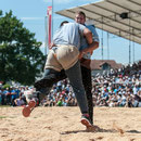 innerschweizerisches schwingfest, cham 6. juli 2014