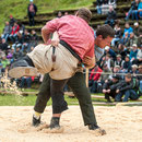 kemmeriboden-schwinget 24. august 2014