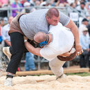 nordwestschweizerisches schwingfest 3. august 2014