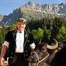 Emmentalisches Schwingfest Bumbach 29.05.2011