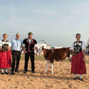 oberaargauisches schwingfest seeberg-grasswil, 23. mai 2015