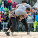 oberländisches schwingfest, sigriswil 29. Juni 2014