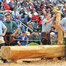 Emmentalisches Schwingfest 20. 05. 2012