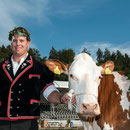 bernisch kantonales schwingfest niederscherli 21. juli 2013