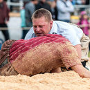 oberaargauisches schwingfest seeberg-grasswil, 23. mai 2015