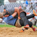 Nordwestschweizerisches Schwingfest Allschwul 2013