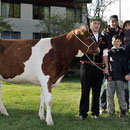 Emmentalisches Schwingfest Trub 2013