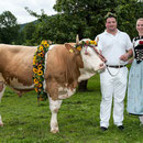 bernisch kantonales schwingfest, st. imier 10. august 2014