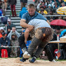 oberländisches schwingfest, sigriswil 29. Juni 2014