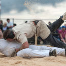 nordwestschweizerisches schwingfest 3. august 2014