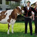 Emmentalisches Schwingfest Trub 2013