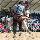 innerschweizerisches schwingfest, cham 6. juli 2014