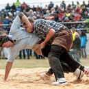 oberaargauisches schwingfest seeberg-grasswil, 23. mai 2015
