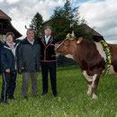 emmentalisches schwingfest schüpbach 11. mai 2014