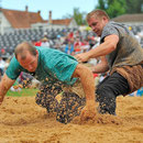 Nordwestschweizerisches Schwingfest Allschwul 2013