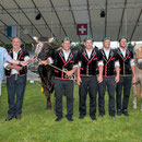 luzerner kantonales schwingfest, 7. Juni 2015 inwil