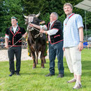 luzerner kantonales schwingfest, 7. Juni 2015 inwil