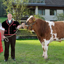 Emmentalisches Schwingfest Trub 2013