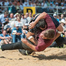 bernisch kantonales schwingfest niederscherli 21. juli 2013