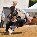 Waadtländer Kantonal Schwingfest Mont-sur-Rolle 06.05.2012