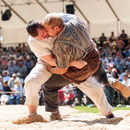 luzerner kantonales schwingfest, 7. Juni 2015 inwil