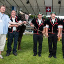 luzerner kantonales schwingfest, 7. Juni 2015 inwil