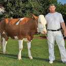 Nordwestschweizerisches Schwingfest Allschwul 2013