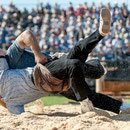 oberaargauisches schwingfest 7. Juni 2014 messen