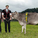emmentalisches schwingfest schüpbach 11. mai 2014