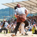 luzerner kantonales schwingfest, 7. Juni 2015 inwil