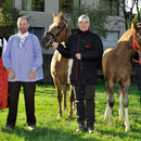 Emmentalisches Schwingfest Trub 2013
