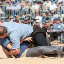 bernisch kantonales schwingfest, st. imier 10. august 2014