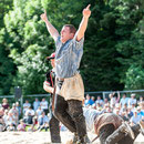 luzerner kantonales schwingfest, 7. Juni 2015 inwil
