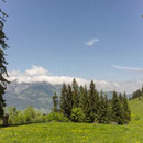 saison eröffnung schwingerweg springenboden 31. mai 2014