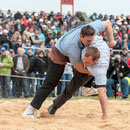 oberaargauisches schwingfest seeberg-grasswil, 23. mai 2015