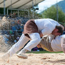 bünder glarner schwingertag, maienfeld 18. mai 2014