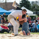 freiburger kantonal schwingfest matran, 26. april 2015