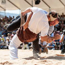 luzerner kantonales schwingfest, 7. Juni 2015 inwil