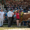 Bernisch Kantonales Schwingfest Niederscherli 2013