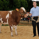Emmentalisches Schwingfest Trub 2013