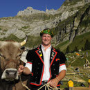 Schwägalp-Schwinget 19. August 2012